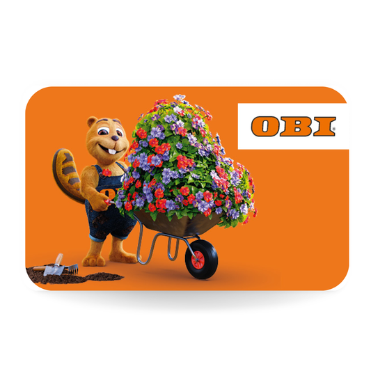 OBI Wertgutschein DE